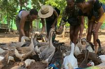 Animal Farm (Mini Zoo) , Bamboo Rafting and Limestone Massage Private Tour