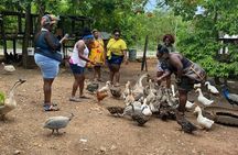 Animal Farm (Mini Zoo) , Bamboo Rafting and Limestone Massage Private Tour