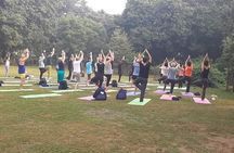 Yoga Tour To India 