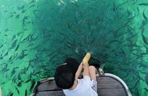Morning panorama & swimming with a fishes