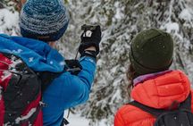 Snowshoeing Adventure with Ice-Fishing, Fire and Survival