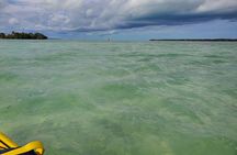 Kayak Trip, 1 Wet Hike + 2 dry hikes in Everglades National Park