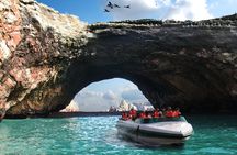 3 Day Tour to Paracas, Huacachina, and Pisco Vineyard