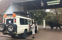 Nairobi national park Elephant orphanage and giraffe center tour.