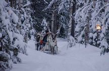 Authentic Reindeer Farm Experience in Rovaniemi