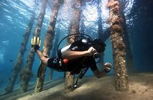 Private Diving Experience in The Heart of Red Sea in Aqaba