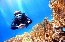 Private Diving Experience in The Heart of Red Sea in Aqaba