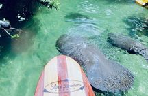Orlando Manatee and Natural Spring Adventure Tour at Blue Springs