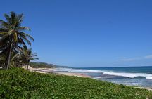 Explore and Discover Barbados By Land & By Sea 