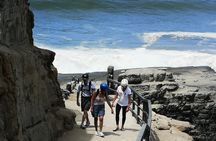 Lima Coast Biking