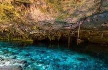 Tulum Jungle Combo: Turtles, ATV, Ziplines & Cenote Full-Day