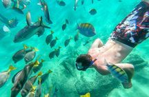 Private Cabo City Tour & Relaxing Beach Day Experience