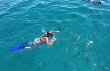 Cabo San Lucas Snorkel Tour All Included