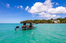 Clear Kayak Coral Reef Tour in Grenada