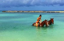 Martha Brae Rafting, Horseback Riding and Luminous Lagoon - Triple Treat 