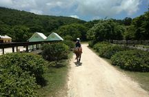 Martha Brae Rafting, Horseback Riding and Luminous Lagoon - Triple Treat 