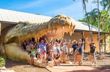 Malcolm Douglas Crocodile Park Tour Including Transportation