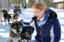 Husky Adventure with 6-10km Safari in Lapland