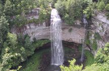 Fall Creek Falls Full Day Tour