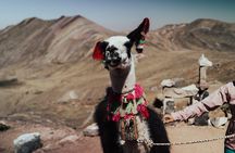 Small-Group 3-day Cusco Tour to Sacred Valley, Machu Picchu & Rainbow Mountain