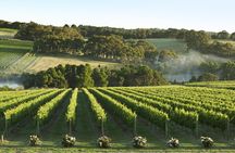 Mornington Peninsula Wine Day Tour 