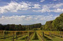 Mornington Peninsula Wine Day Tour 