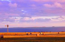 Mornington Peninsula Wine Day Tour 