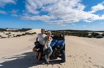 Small-Group Buggy Tour at Little Sahara with Guide