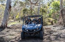 Small-Group Buggy Tour at Little Sahara with Guide