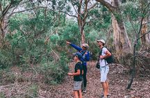 After Hours Koala Walking Tour in Kangaroo Island