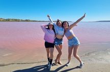 Pink Lake Small-Group Buggy Tour