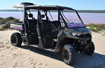 Pink Lake Small-Group Buggy Tour