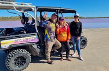 Pink Lake Small-Group Buggy Tour