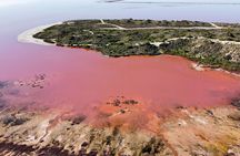 Pink Lake Small-Group Buggy Tour