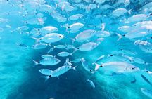 Medulin -Kamenjak 5h boat trip with lunch & drinks on Sandra Boat