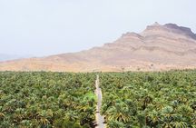 Overnight Desert Tour from Marrakech to Zagora