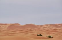 Marrakech to Merzouga 3 days Desert Tour