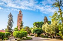 Ouzoud Waterfalls Full-Day Tour from Marrakech