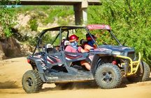 Beach and Desert UTV with Horseback Riding Experience