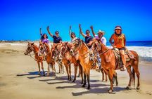 Beach and Desert UTV with Horseback Riding Experience