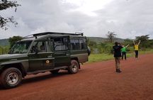 2-Day Akagera National Park Game Drive, Ihema boat trip with a Choice 4x4