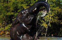 Pilanesberg national park day tour-Closed-vehicle