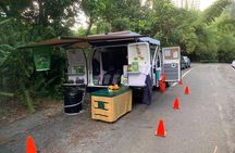 El Yunque Rainforest Night Walk Adventure (Twilight River & Swim)