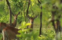 Private 10-Days Parks and Bassari Country Tour