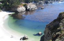 Guided 2-Hour Point Lobos Nature Walk