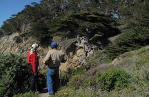 Guided 2-Hour Point Lobos Nature Walk