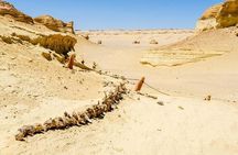Private Day Tour To El Fayoum From Cairo