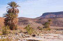 Overnight Sahara Tour from Marrakech to Mhamid