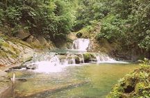 Aripo Waterfall Adventure