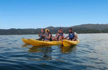 Playa Samara Ocean Kayak and Snorkeling